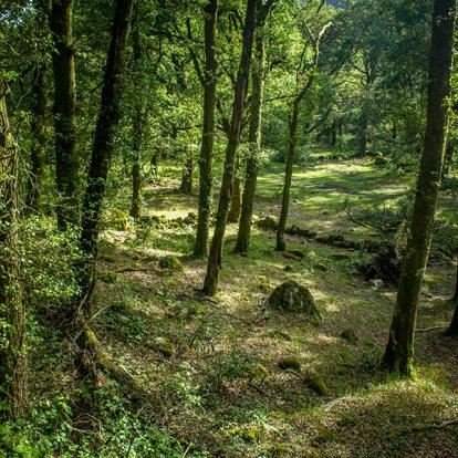 A Découvrir au Portugal - Parc national de Peneda-Gerês