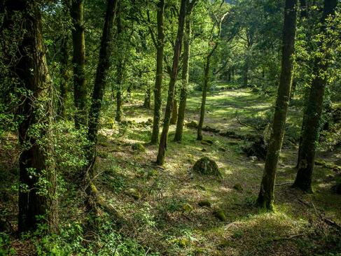 A Découvrir au Portugal - Parc national de Peneda-Gerês