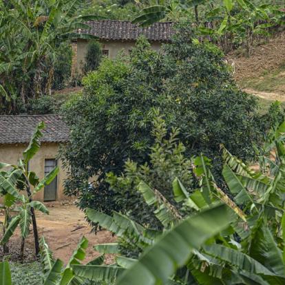 A Découvrir au Rwanda - Kibuye