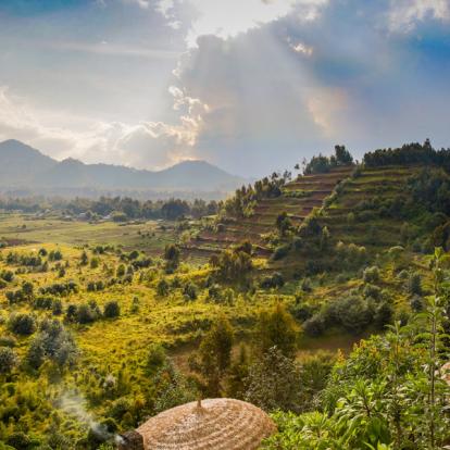 A Découvrir au Rwanda - Parc National des Volcans