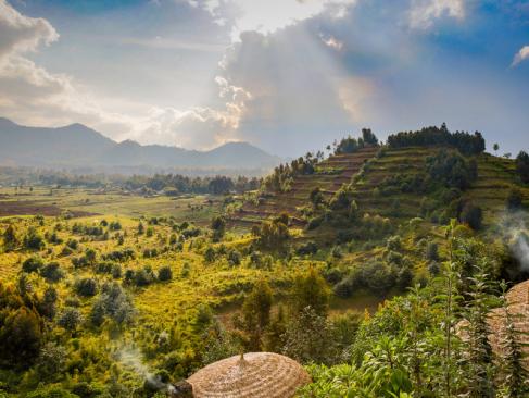 A Découvrir au Rwanda - Parc National des Volcans