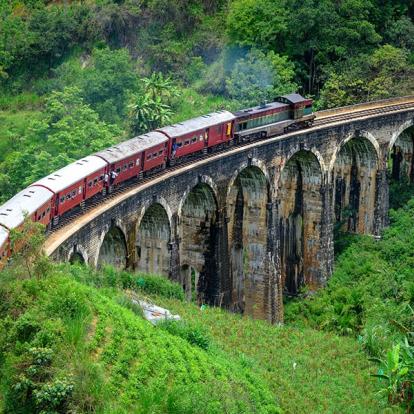 A Découvrir au Sri Lanka - Ella et Nuwara Eliya