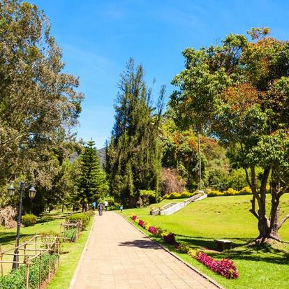 A Découvrir au Sri Lanka - Ella et Nuwara Eliya