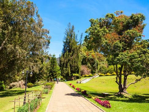 A Découvrir au Sri Lanka - Ella et Nuwara Eliya