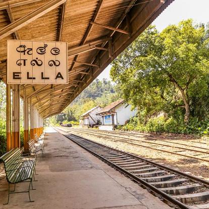 A Découvrir au Sri Lanka - Ella et Nuwara Eliya