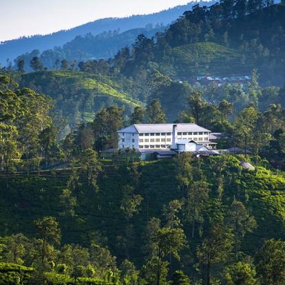 A Découvrir au Sri Lanka - Ella et Nuwara Eliya