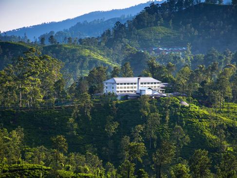 A Découvrir au Sri Lanka - Ella et Nuwara Eliya