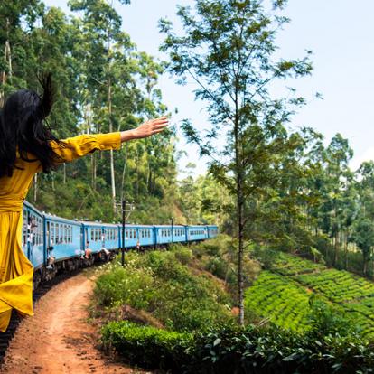 Sri Lanka Tea Plantation and Train A Découvrir au Sri Lanka - Ella et Nuwara Eliya