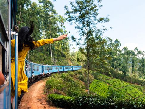 A Découvrir au Sri Lanka - Ella et Nuwara Eliya