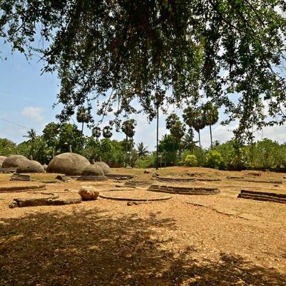 A Découvrir au Sri Lanka - Jaffna