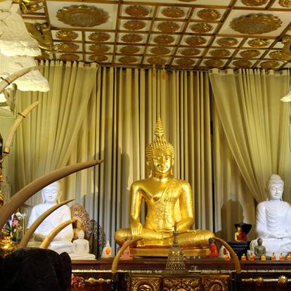 A Découvrir au Sri Lanka - Le Triangle Culturel