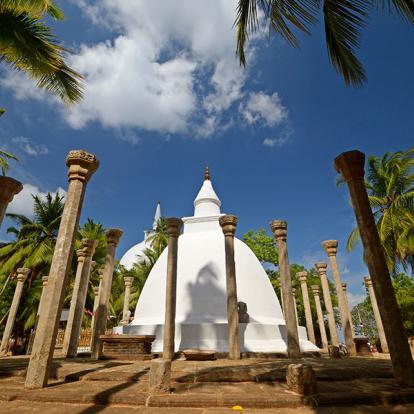 A Découvrir au Sri Lanka - Le Triangle Culturel