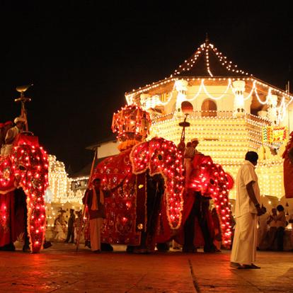 A Découvrir au Sri Lanka - Le Triangle Culturel