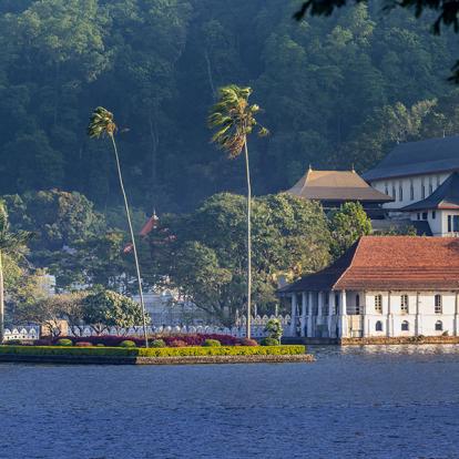 A Découvrir au Sri Lanka - Le Triangle Culturel