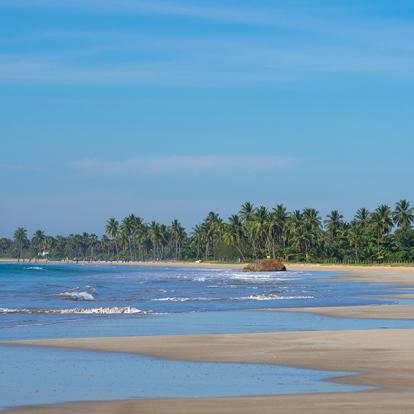 A Découvrir au Sri Lanka - Les Plages de l'Est