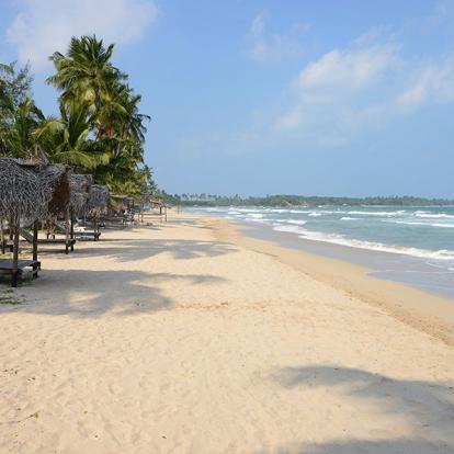 A Découvrir au Sri Lanka - Les Plages de l'Est