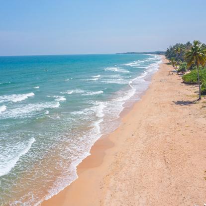 A Découvrir au Sri Lanka - Les Plages de l'Est