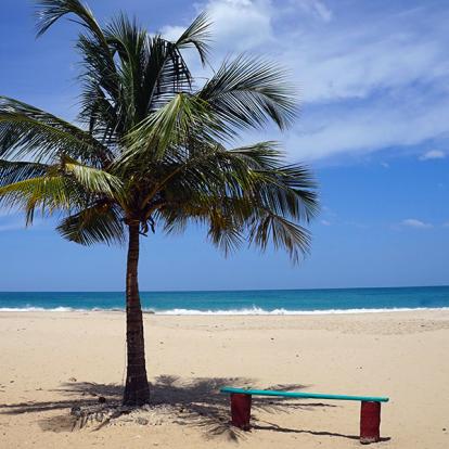 A Découvrir au Sri Lanka - Les Plages de l'Est
