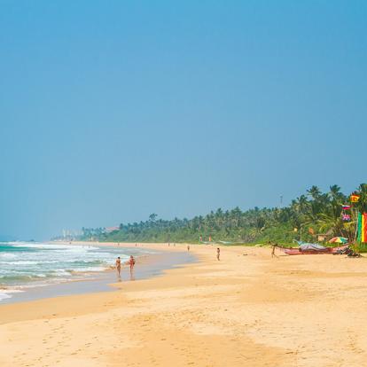 A Découvrir au Sri Lanka - Les Plages de l'Ouest
