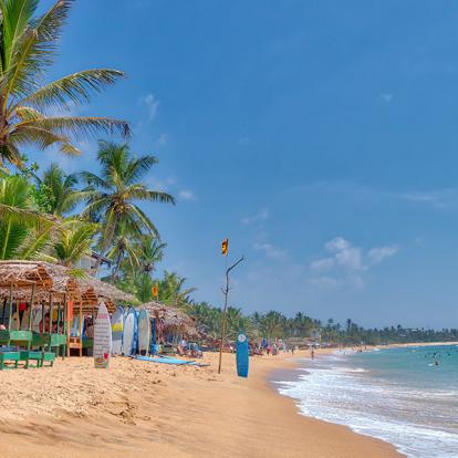 A Découvrir au Sri Lanka - Les Plages de l'Ouest