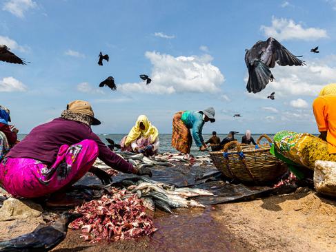 A Découvrir au Sri Lanka - Les Plages de l'Ouest