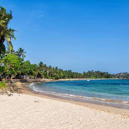 Mirissa Beach A Découvrir au Sri Lanka - Les Plages du Sud