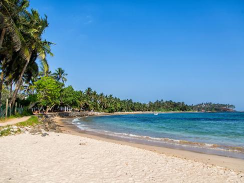 Mirissa Beach A Découvrir au Sri Lanka - Les Plages du Sud