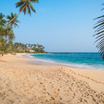 Amanwella Beach - Tangalle A Découvrir au Sri Lanka - Les Plages du Sud