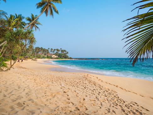 Amanwella Beach - Tangalle A Découvrir au Sri Lanka - Les Plages du Sud