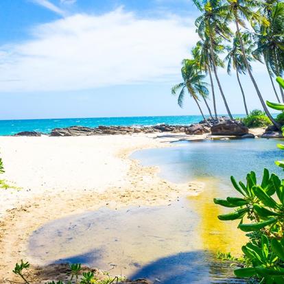 A Découvrir au Sri Lanka - Les Plages du Sud