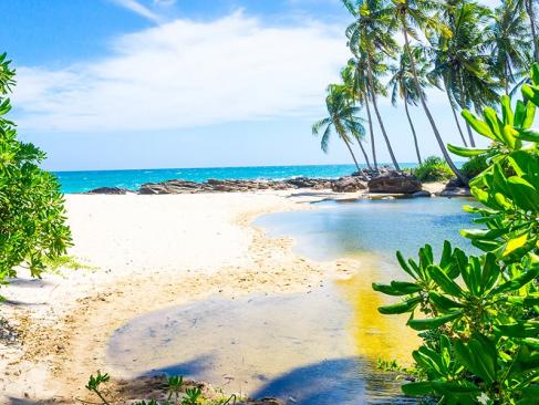 Bentota A Découvrir au Sri Lanka - Les Plages du Sud