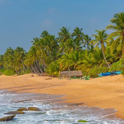 Medaketyia Beach A Découvrir au Sri Lanka - Les Plages du Sud