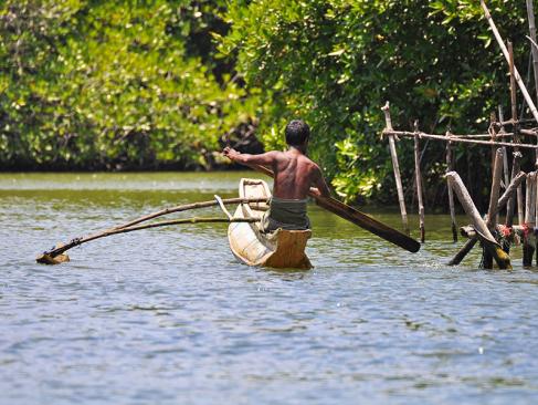 A Découvrir au Sri Lanka - L'Estuaire de Madu Ganga