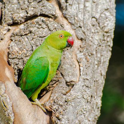 Parc National De Bundala A Découvrir au Sri Lanka - Les Parcs et Réserves