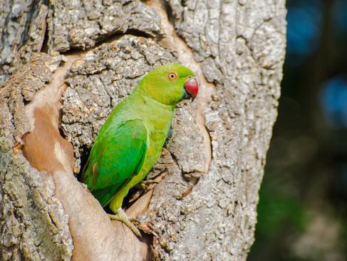 Parc National De Bundala A Découvrir au Sri Lanka - Les Parcs et Réserves