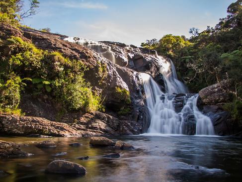 Horton PLains A Découvrir au Sri Lanka - Les Parcs et Réserves