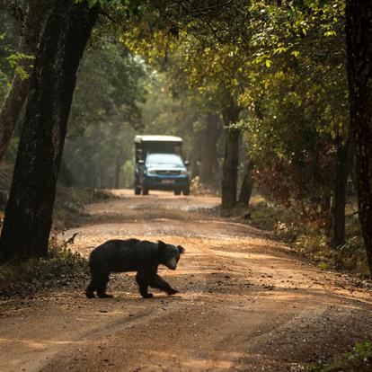 Parc National De Wilpattu A Découvrir au Sri Lanka - Les Parcs et Réserves