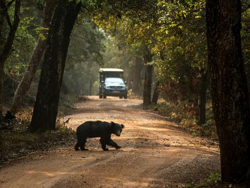 Parc National De Wilpattu A Découvrir au Sri Lanka - Les Parcs et Réserves