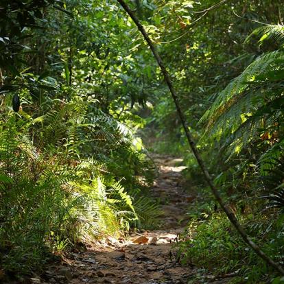 A Découvrir au Sri Lanka - Les Parcs et Réserves