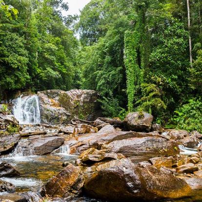 A Découvrir au Sri Lanka - Les Parcs et Réserves