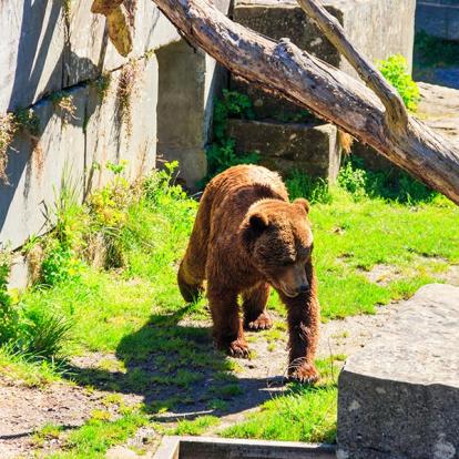 A Découvrir en Suisse - Berne