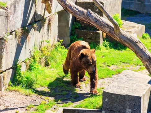 A Découvrir en Suisse - Berne
