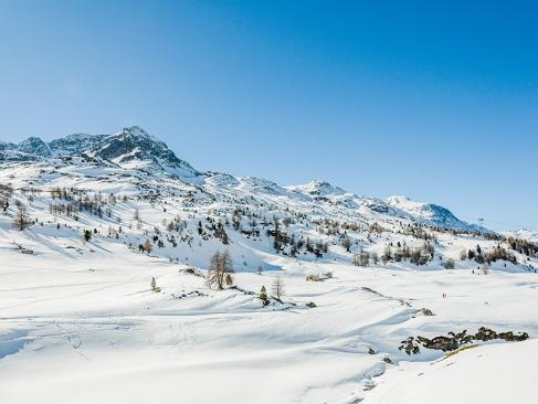 Bernina, Val Bernina, Diavolezza A Découvrir en Suisse - Canton des Grisons
