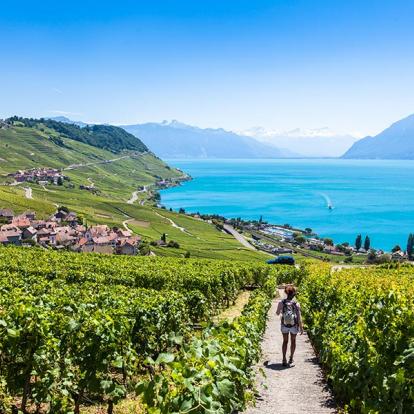 Vignoble De Lavaux A Découvrir en Suisse - Lausanne