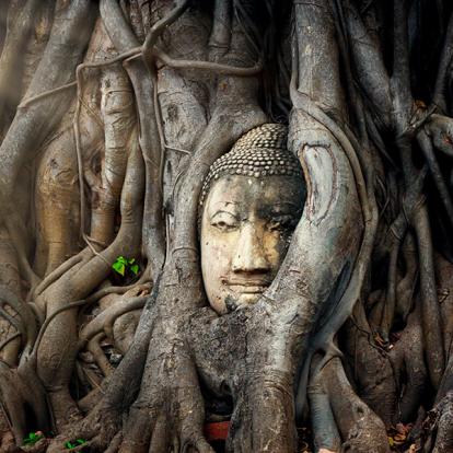 A Découvrir en Thaïlande - Ayutthaya