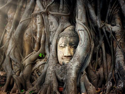 A Découvrir en Thaïlande - Ayutthaya
