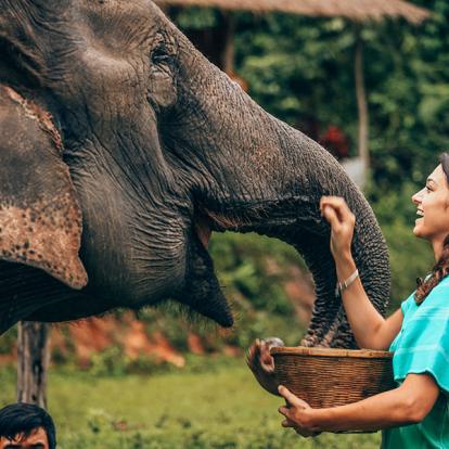 A Découvrir en Thaïlande - Chiang Mai