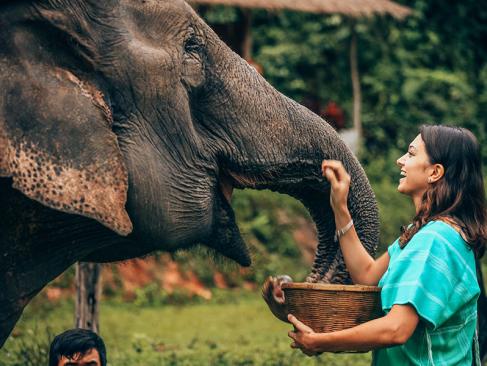 A Découvrir en Thaïlande - Chiang Mai