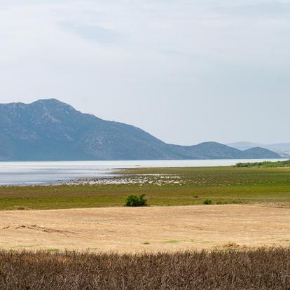 Lac D'Ichkeul A Découvrir en Tunisie - Bizerte