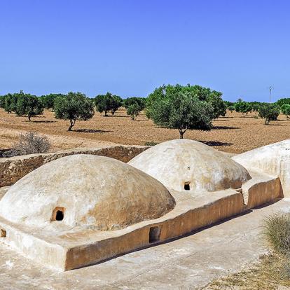 A Découvrir en Tunisie - Djerba